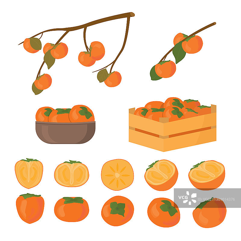 柿子水果半切和完整套装图片素材