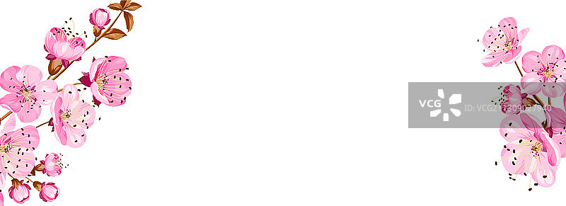 植物元素设计模板全景图图片素材