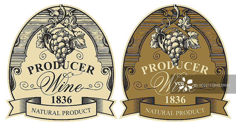 手绘葡萄酒标签和葡萄串套装图片素材