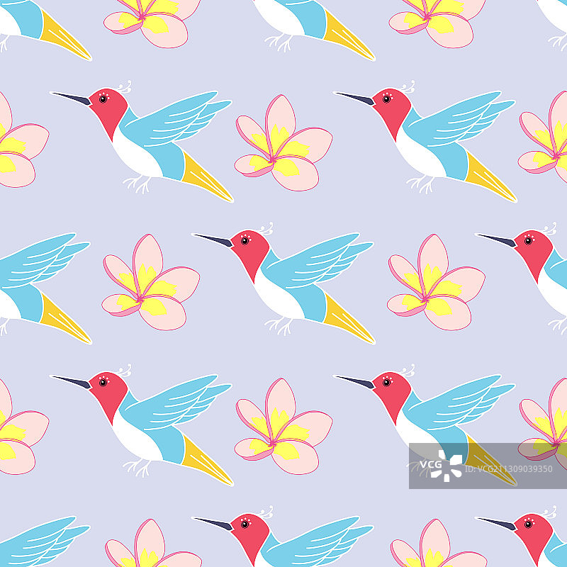 彩色小鸟和鸡蛋花无缝图案图片素材