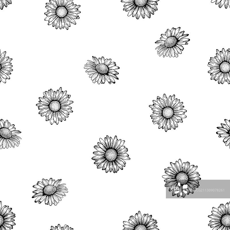 黑白花卉无缝图案图片素材