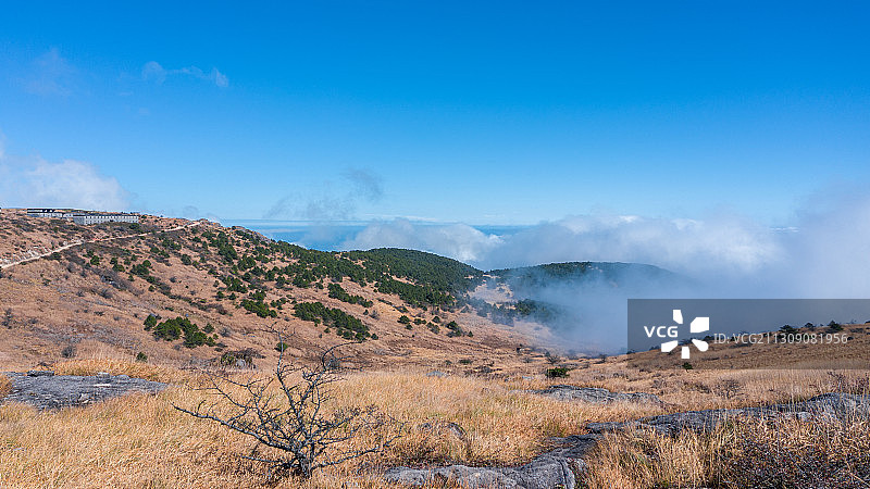 江西省黄岗山中山草甸风景图片素材