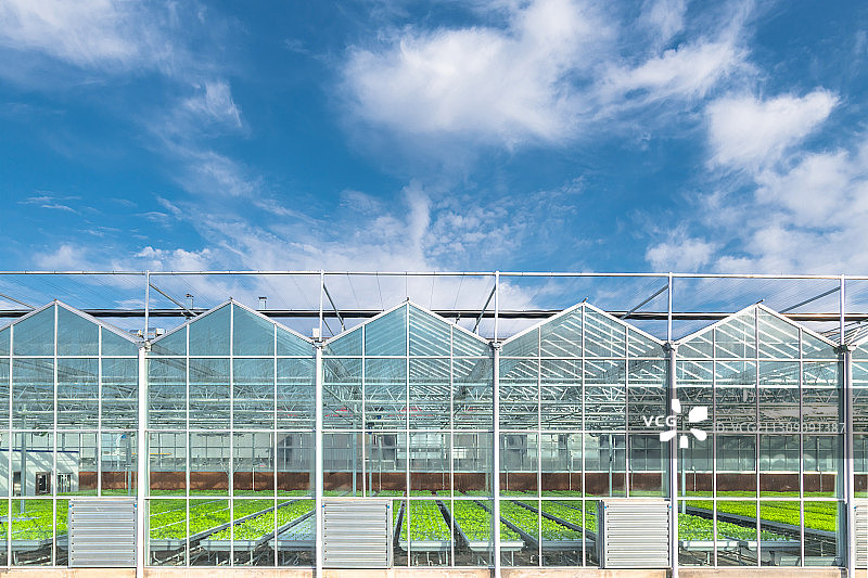 蔬菜温室大棚图片素材