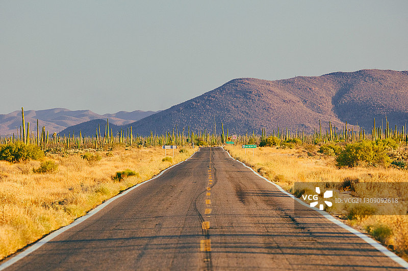 墨西哥空旷的道路景观图片素材