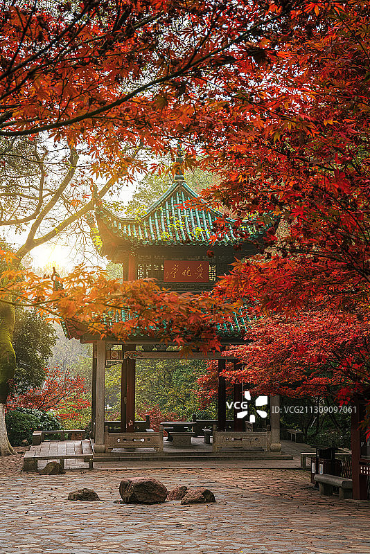 湖南省长沙市岳麓山爱晚亭秋景枫叶图片素材