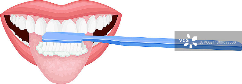 张开的嘴用牙刷擦洗和清洁图片素材