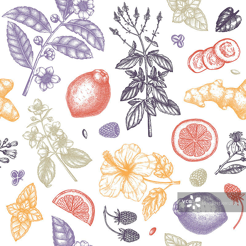 手绘水果草药茶无缝图案图片素材
