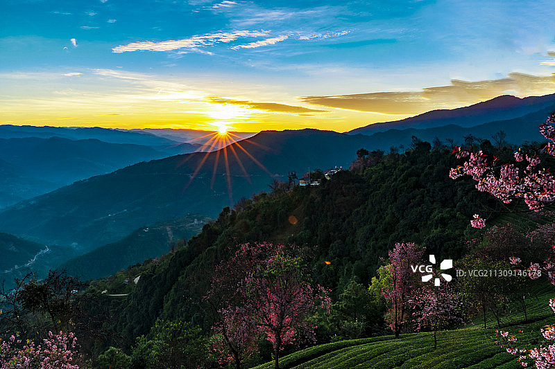 云南无量山樱花谷日出图片素材
