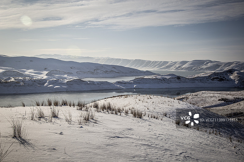 新疆伊犁尼勒克雪地风光 鳄鱼岛图片素材