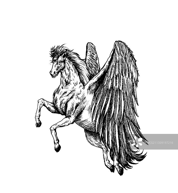 手绘独角兽装饰剪影图片素材