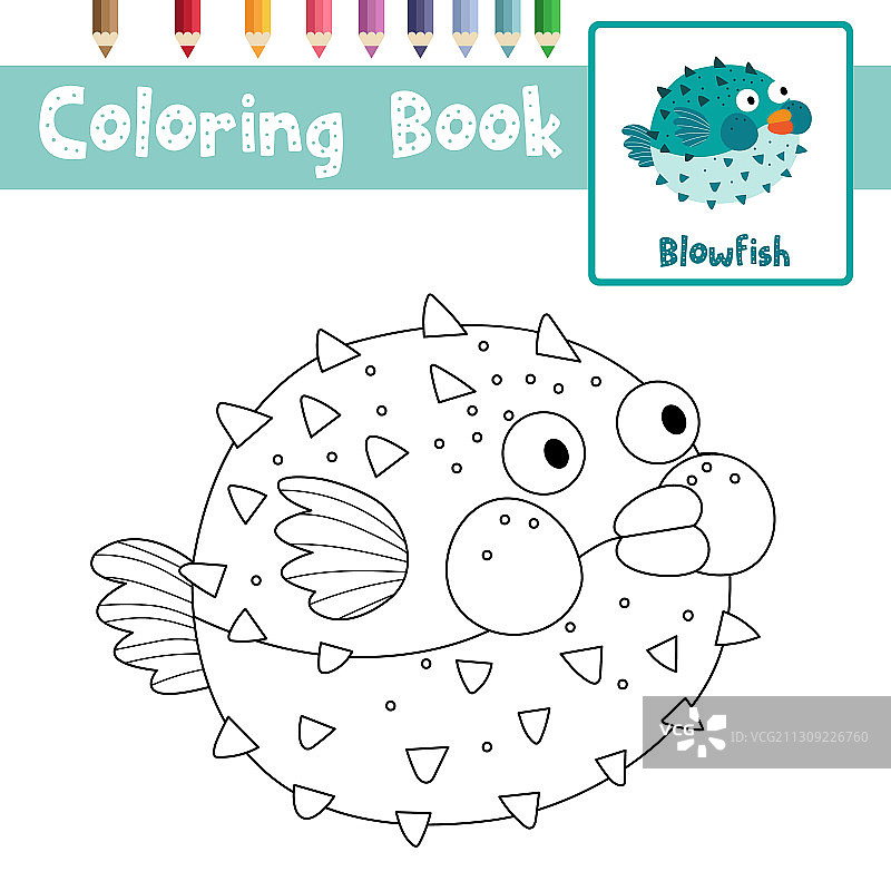 河豚动物卡通角色涂色页图片素材