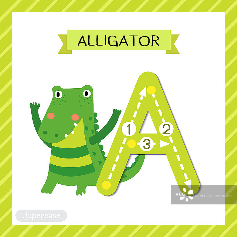 字母A大写字母描摹鳄鱼图片素材