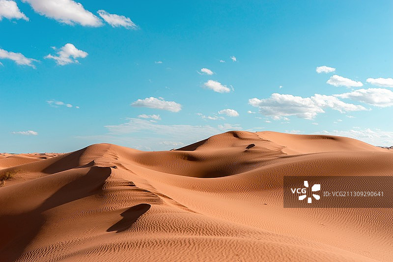 大漠沙如海图片素材