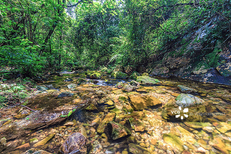 广东肇庆鼎湖山风光图片素材