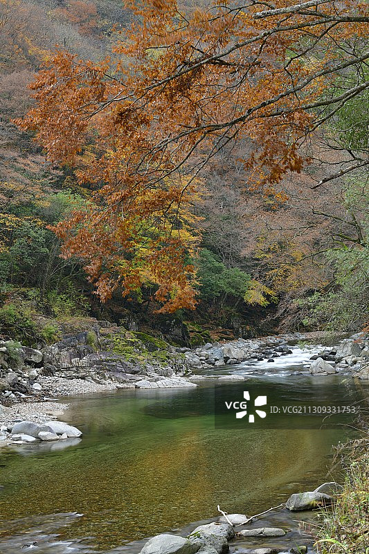 米仓山的秋天（巴中南江）图片素材