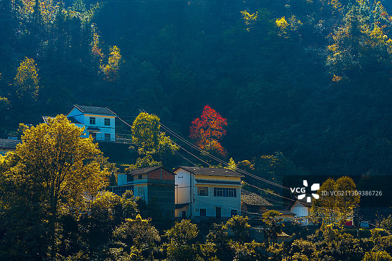宜昌兴山县乡村秋色图片素材