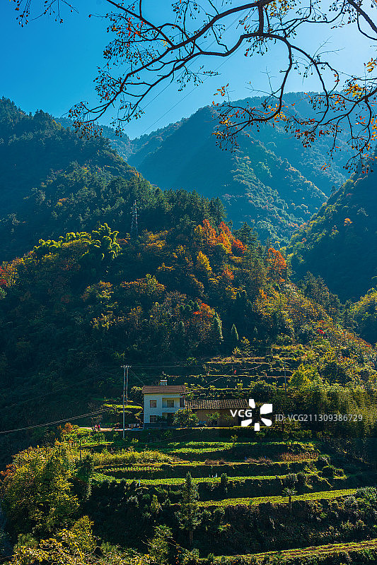 宜昌兴山县乡村秋色图片素材