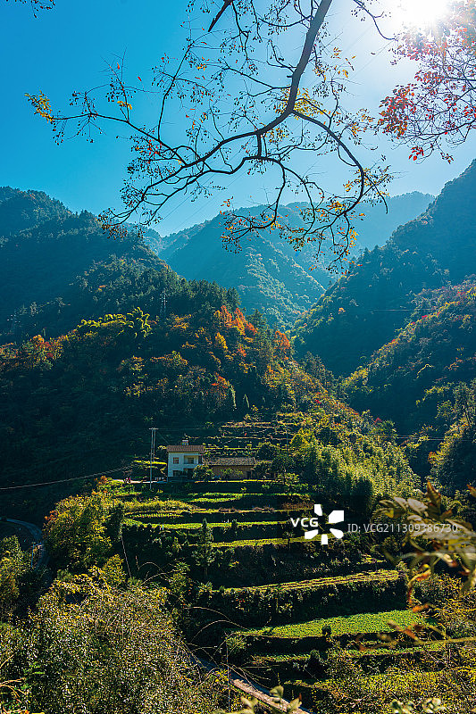 宜昌兴山县乡村秋色图片素材
