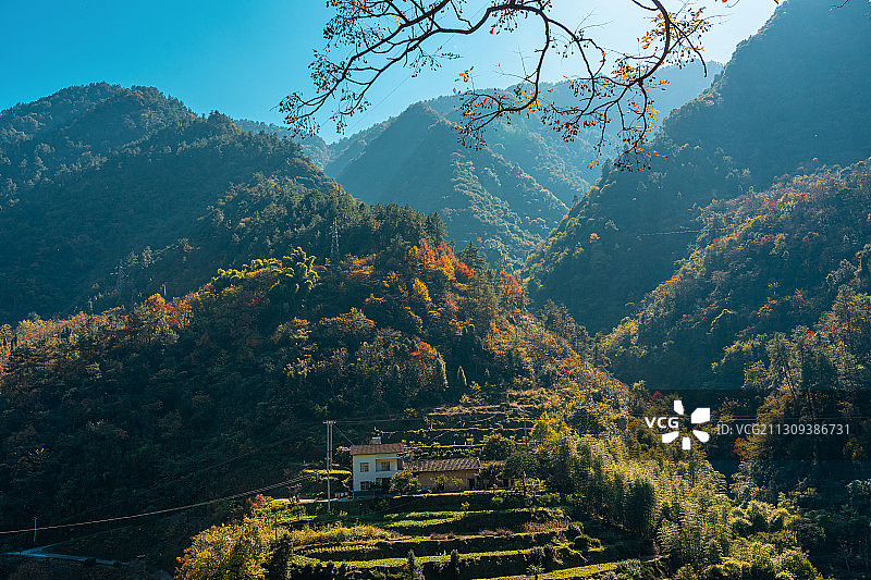 宜昌兴山县乡村秋色图片素材