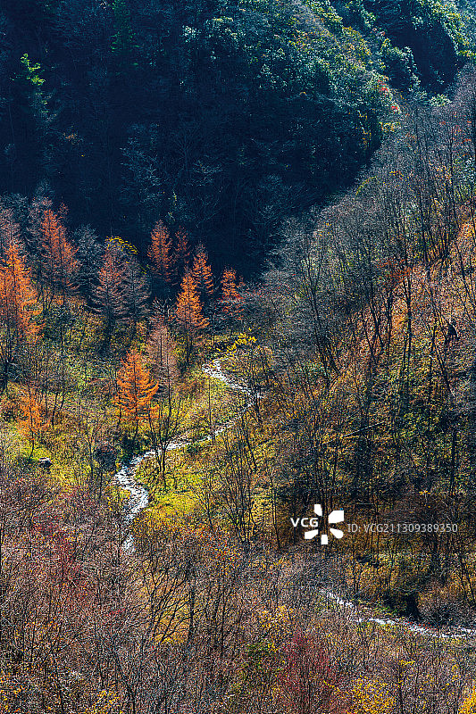 宜昌兴山县乡村风光图片素材
