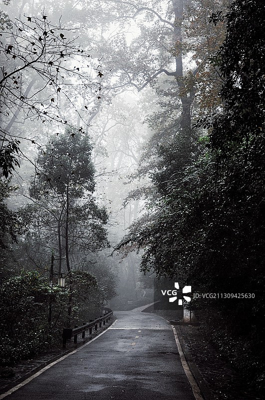 冬季的长沙岳麓山爱晚亭  枫叶正红图片素材