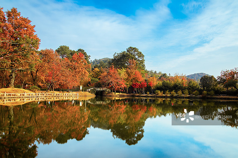 天平秋色图片素材