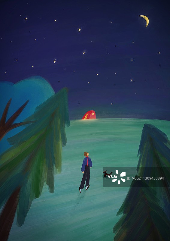 树林中的月夜图片素材