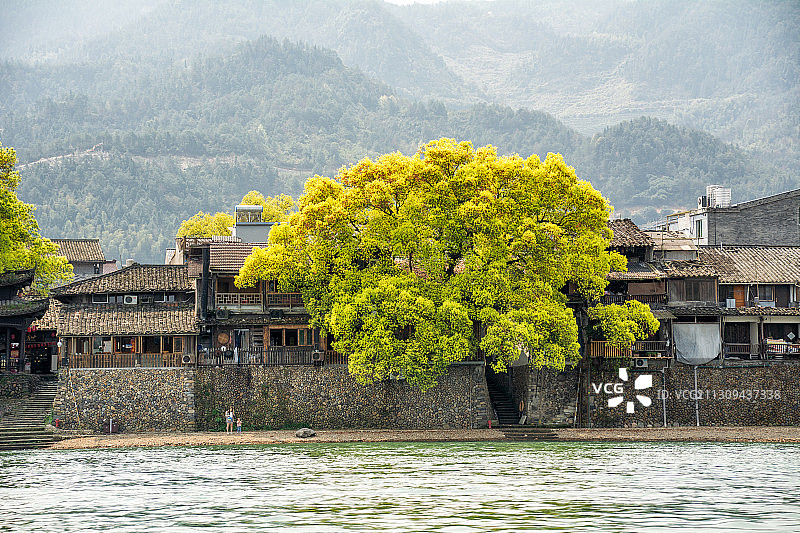 浙江丽水古堰画乡景区风光-瓯江风光图片素材