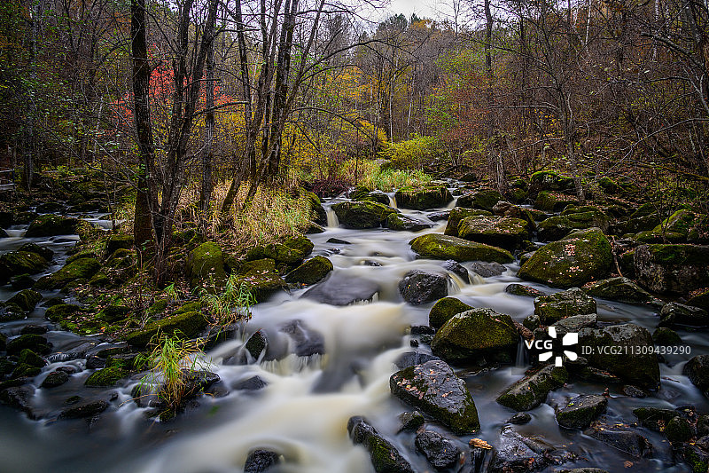 小兴安岭秋天的森林小溪图片素材