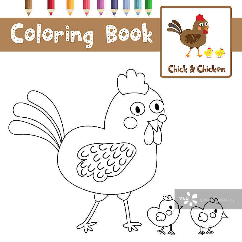 小鸡卡通动物涂色页图片素材