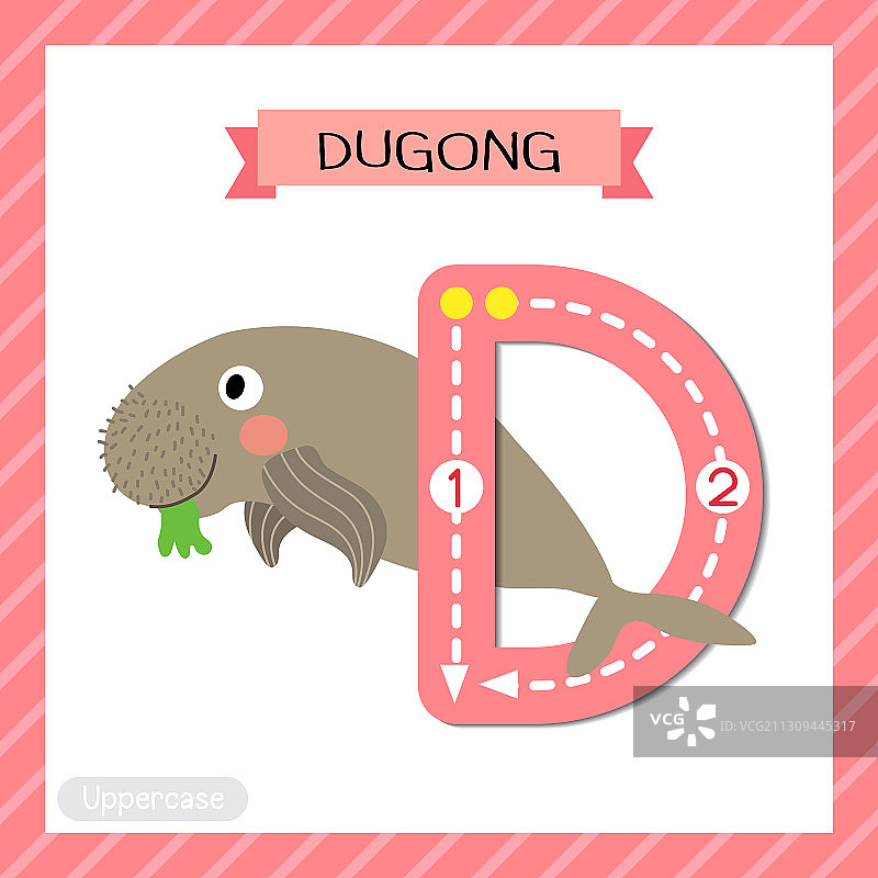 大写字母D描摹：儒艮食用海草图片素材