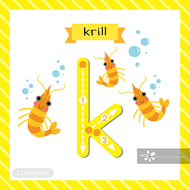 小写字母K描摹磷虾图片素材