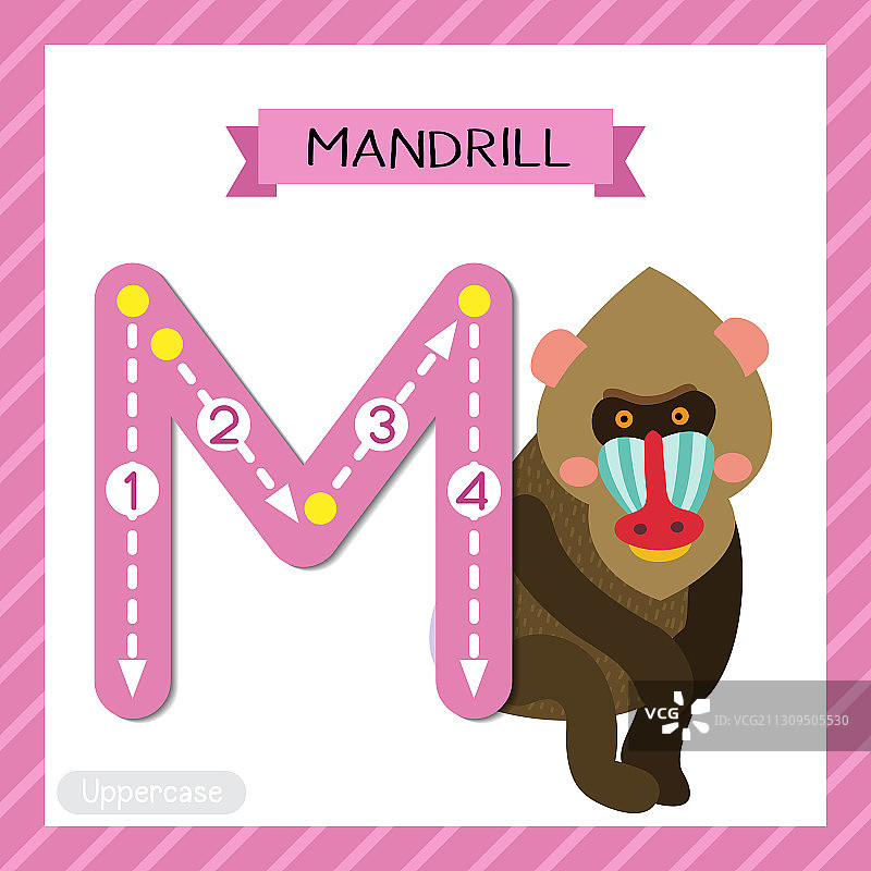 字母M大写轮廓坐着的山魈图片素材