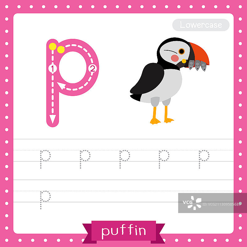 字母P小写描摹练习工作表图片素材