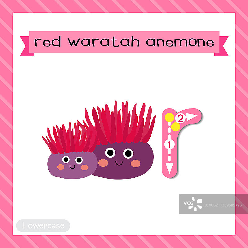 红色沃勒塔银莲花小写字母R描摹图片素材