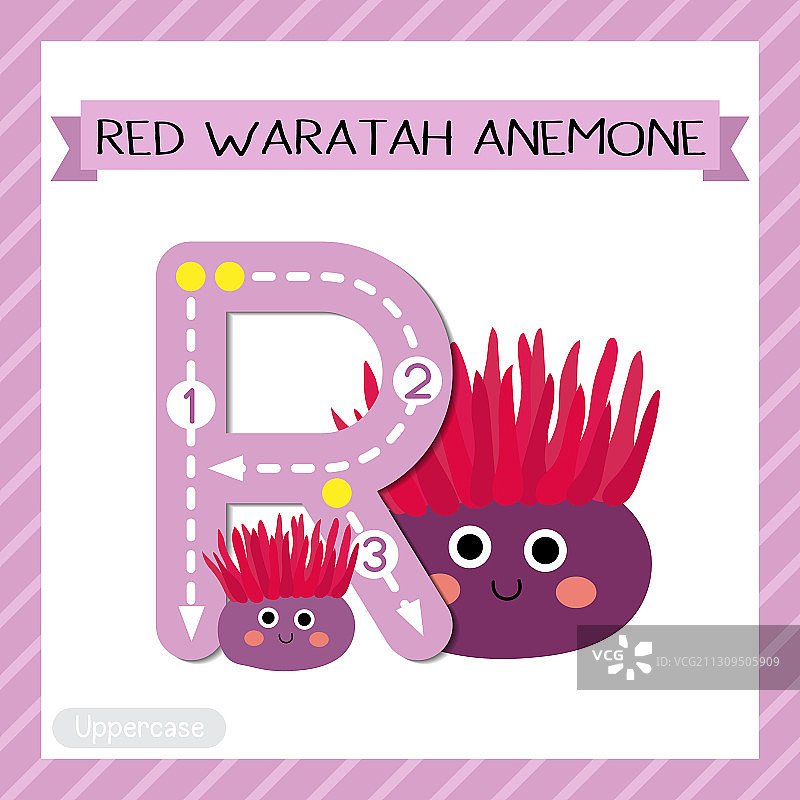 大写字母R红色澳洲海葵描摹图片素材