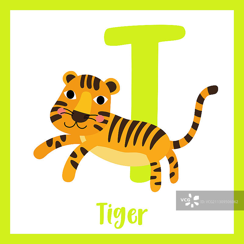 字母T词汇跳跃的老虎图片素材