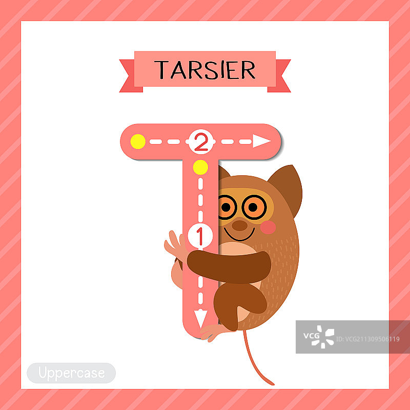 大写字母T描摹眼镜猴图片素材