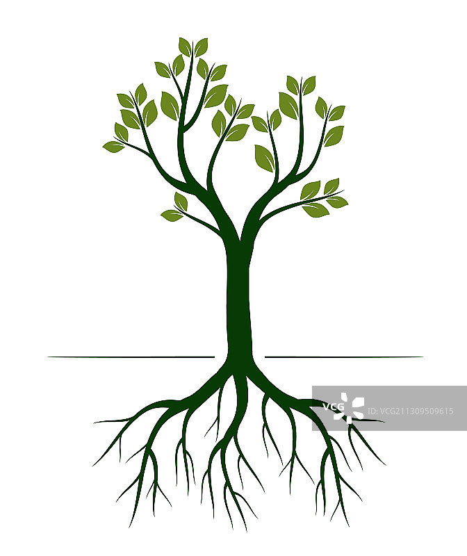 绿色春季树木轮廓图片素材