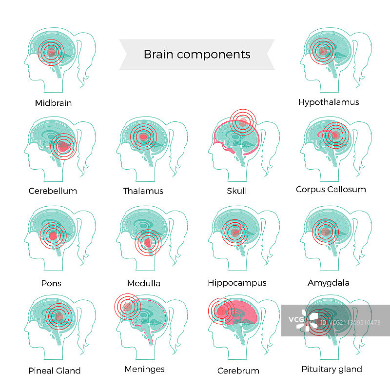 大脑疼痛图片素材