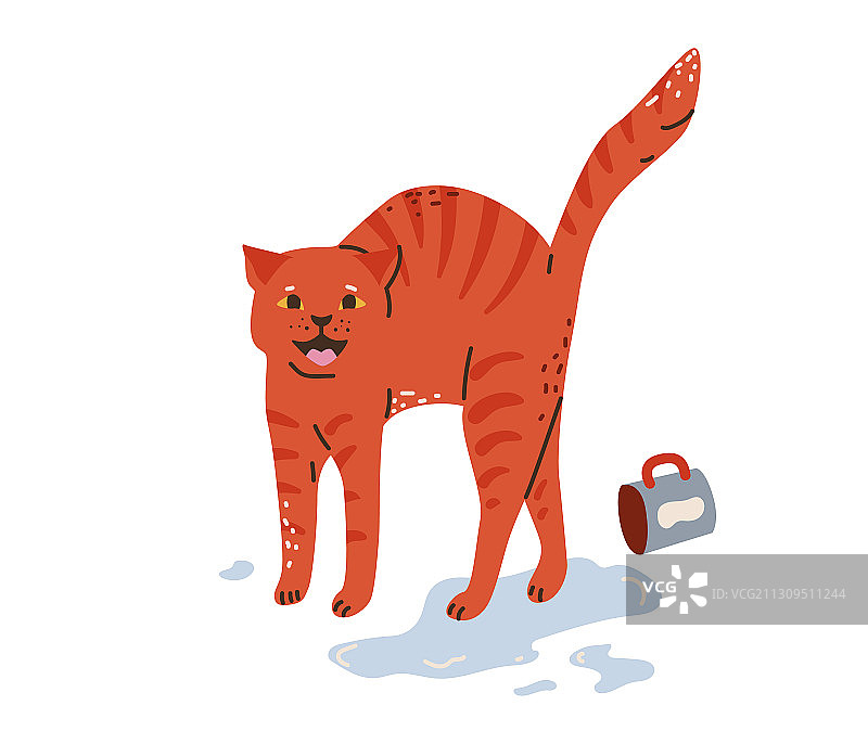 猫咪打翻水杯图片素材