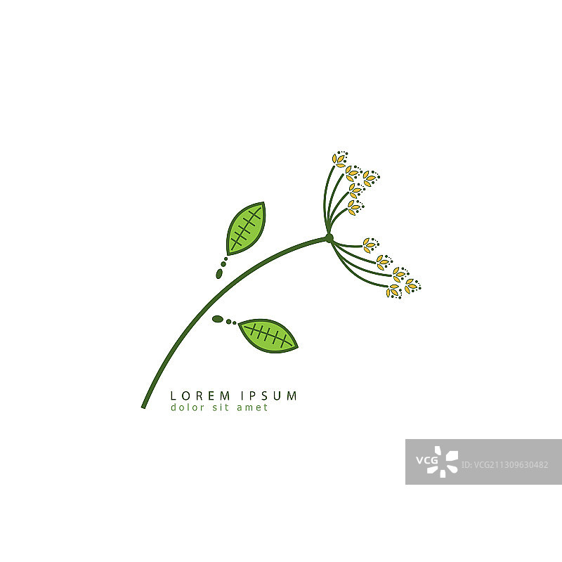 蒲公英标志模板设计图片素材