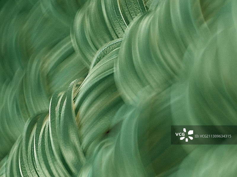 面料插画特写图片素材