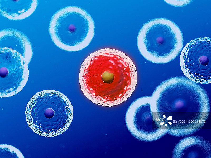 人体细胞插画图片素材