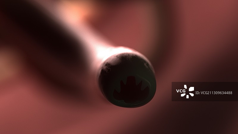 钩虫插画图片素材