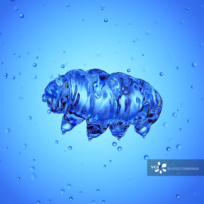 水熊虫插画图片素材