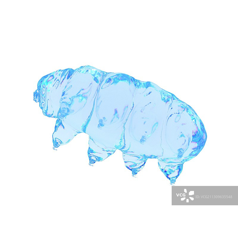 水熊虫插画图片素材