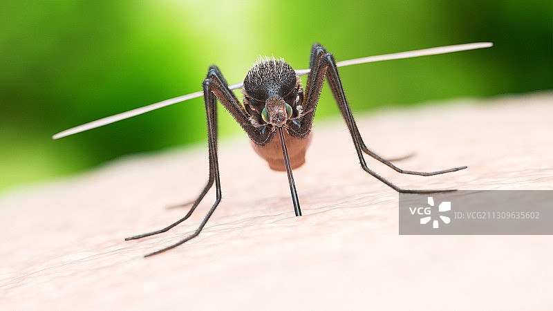 蚊虫叮咬插画图片素材