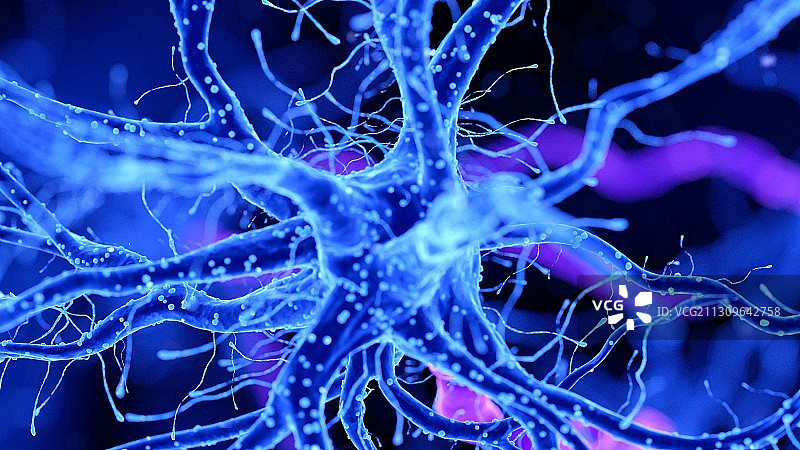 神经细胞插画图片素材