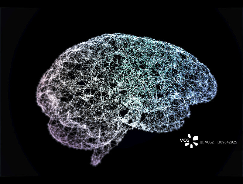 人类大脑、插图图片素材